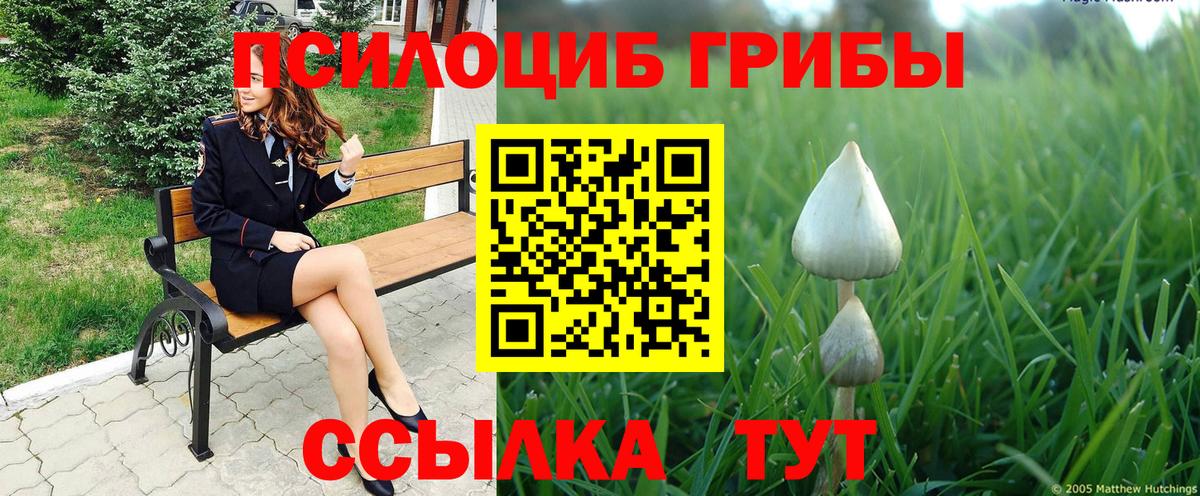 Псилоцибиновые грибы GOLDEN TEACHER Новосибирск