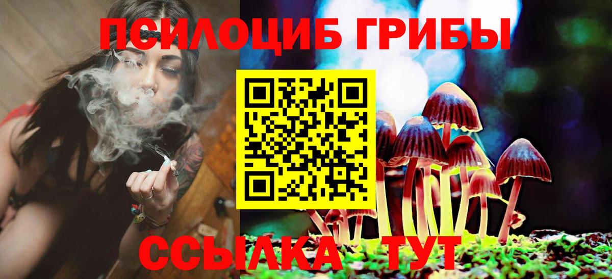 хочу   Вход с VPN  Новосибирск  Псилоцибиновые грибы GOLDEN TEACHER 